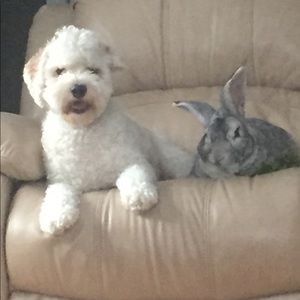 Meet your Posher, Rebecca